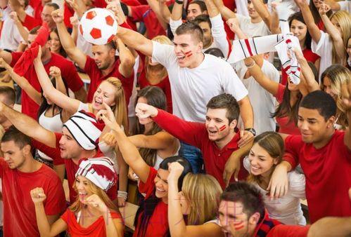 2026世界杯：全球足球盛典，球迷激情朝圣之旅
